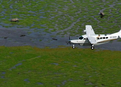 3 Days Amboseli Flying Safari