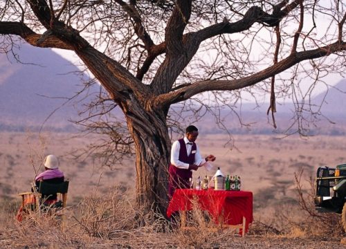 12 Days Kenya Bush & Beach Honeymoon Holiday