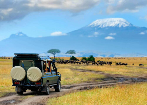 2 Days Amboseli National Park Lodge Safari