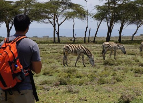 4 Days Masai Mara & Lake Naivasha Budget Group-Joining Safari