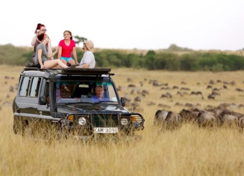 4 Days Masai Mara Wildlife Luxury Safari