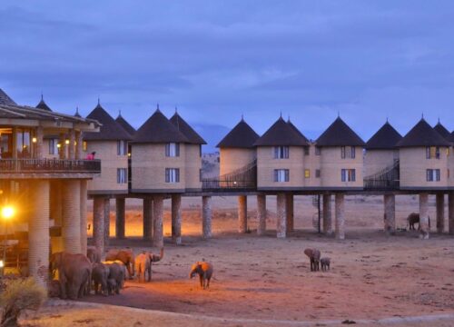 5 Days Tsavo East, Taita Salt lick, Tsavo West & Amboseli Lodge Safari